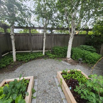 Ascent Landscaping - Landscaping Near Me - Seattle, Washington Ascent Landscaping - Landscaping Near Me - Seattle, Washington
