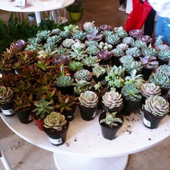Jade & Clover - Home Decor Near Me - Dallas, Texas