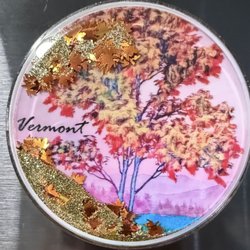 H N Williams Store - magnet souvenir