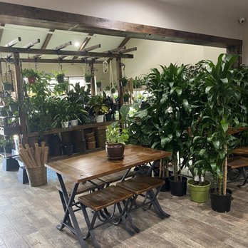 Mundial Coffee - Seating area - Coffee & Tea Near Me - Riverside, California