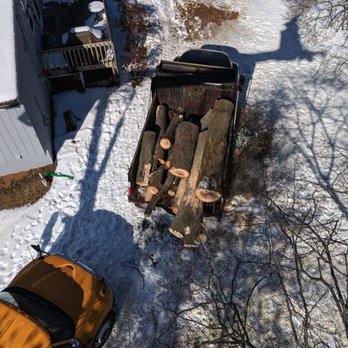 Big Wood Tree Services - Tree Services Near Me Big Wood Tree Services - Tree Services Near Me