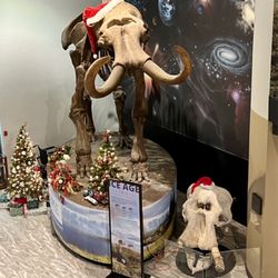 Burpee Museum of Natural History - Christmas Wooly Mammoth