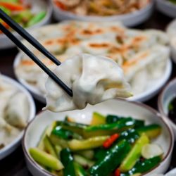 Dumpling Factory