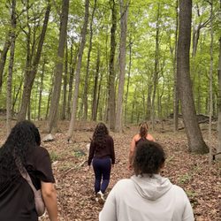 Cranberry Lake Preserve