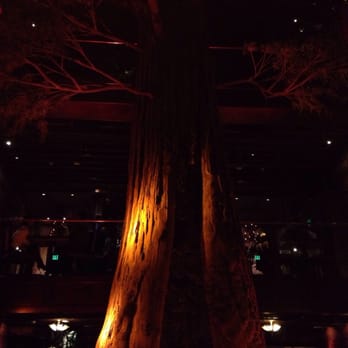 Clifton's Republic - Centerpiece tree decoration running through all floors of Clifton's - Bars Near Me - Los Angeles, California Clifton's Republic - Centerpiece tree decoration running through all floors of Clifton's - Bars Near Me - Los Angeles, California