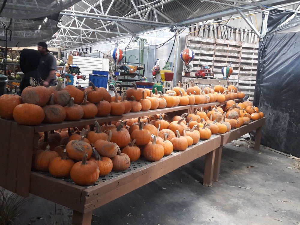 WORLD’S SCARIEST HAUNTED HOUSE TEMP. CLOSED 14 Photos & 19 Reviews