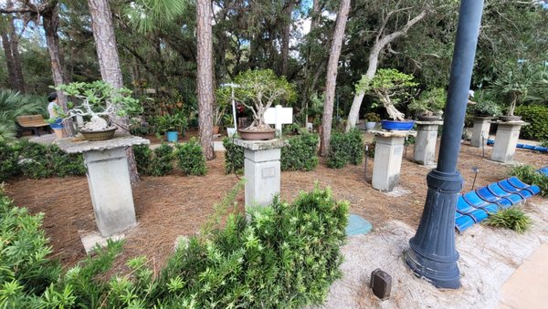 Port St. Lucie Botanical Gardens by null