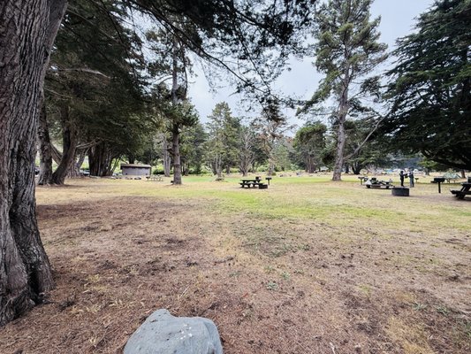 Plaskett Creek Campground by null