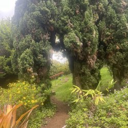 Unique Maui Tours