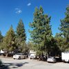 Pine Tree RV Park gift card
