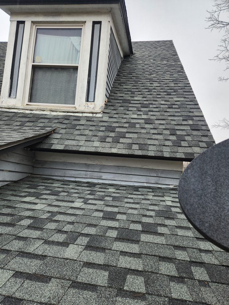 Slide of Macaw Roofing