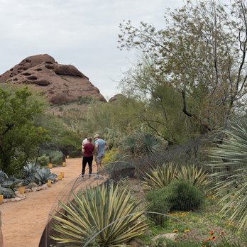 Desert Botanical Garden - Botanical Gardens Near Me - Phoenix, Arizona