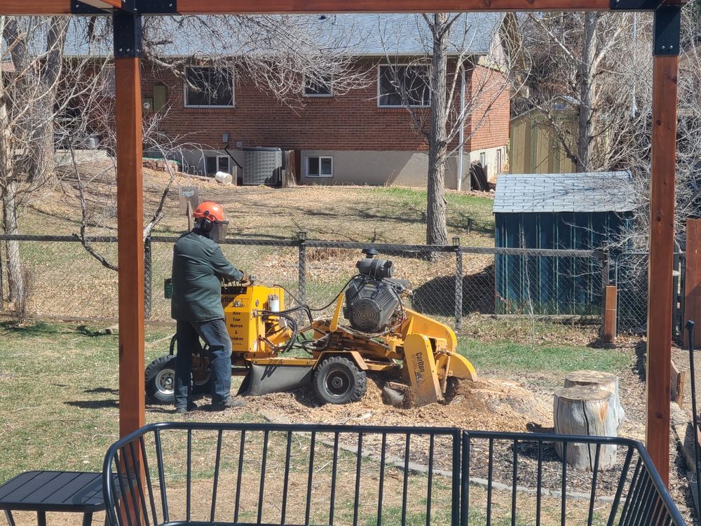 Stump Removal & Daughter - tree service in Aurora, CO