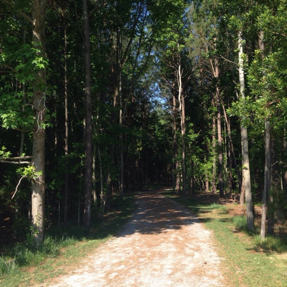 Lake Meade Park - Parks Near Me - Suffolk, Virginia