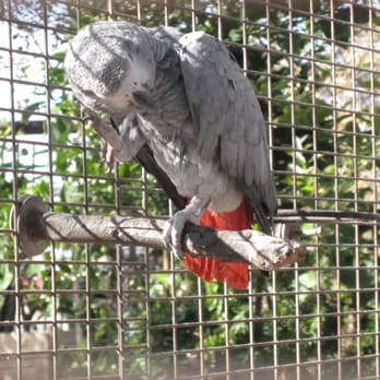 The Green Goddess - Nurseries & Gardening Near Me - Phoenix, Arizona