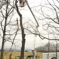 Where There Is A Will There Is A Way - William Tuckwiller removing a dead timber along a long GBC farm driveway.