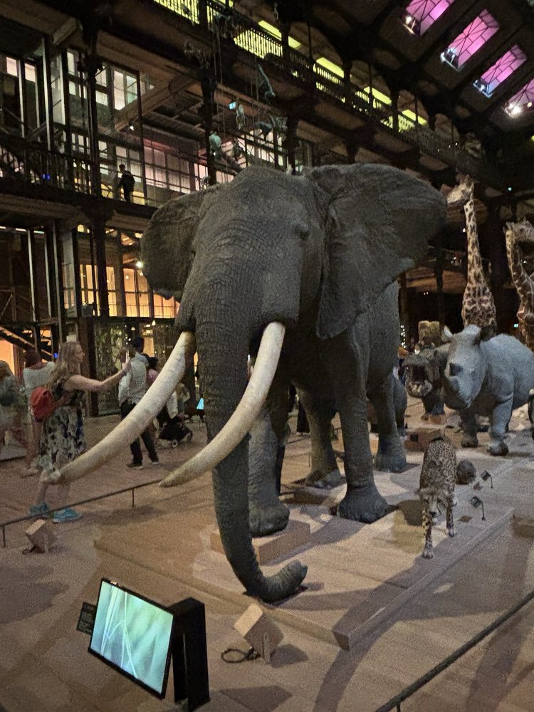 Grande Galerie de l'Évolution