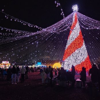 WINTER CITY LIGHTS - Updated April 2025 - 108 Photos & 28 Reviews