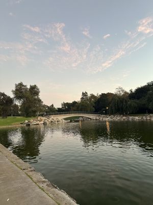 William R Mason Regional Park by null