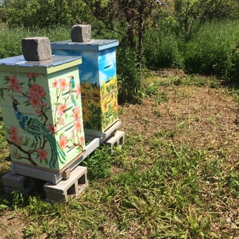 Ford Rouge Factory Tour - They have bee hives on site to pollinate the greenery, neat idea! - Museums Near Me - Dearborn, Michigan Ford Rouge Factory Tour - They have bee hives on site to pollinate the greenery, neat idea! - Museums Near Me - Dearborn, Michigan