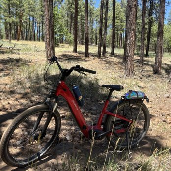 Absolute Bikes - Bikes Near Me - Flagstaff, Arizona