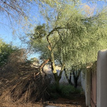 Affordable Yard And Tree Service - BEFORE - Storm Damaged Tree - Tree Services Near Me - Tucson, Arizona Affordable Yard And Tree Service - BEFORE - Storm Damaged Tree - Tree Services Near Me - Tucson, Arizona