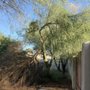 Affordable Yard And Tree Service