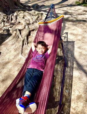 Kobe Nunobiki Herb Gardens & Ropeway by null