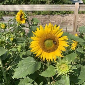Tyler Arboretum - Summer Camps Near Me - Media, Pennsylvania