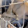 Photo of Durant Animal Hospital
