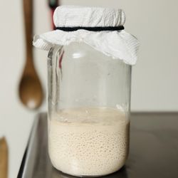 GF Sourdough Starter
Saving Dough Bakery's Sourdough starter has been kept alive Since 06/03/25