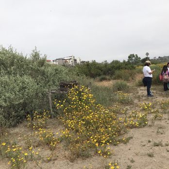 Ballona Wetlands - Hiking Near Me - Playa Del Rey, California Ballona Wetlands - Hiking Near Me - Playa Del Rey, California
