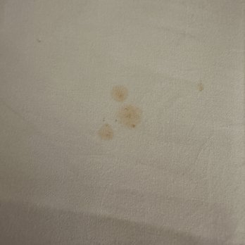 Catskill Seasons Inn - More stains on the sheet. - Hotels Near Me - Shandaken, New York