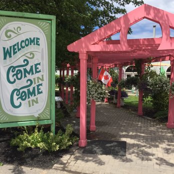 Small Talk Vineyards - Wineries Near Me - Niagara On the Lake, Ontario Small Talk Vineyards - Wineries Near Me - Niagara On the Lake, Ontario