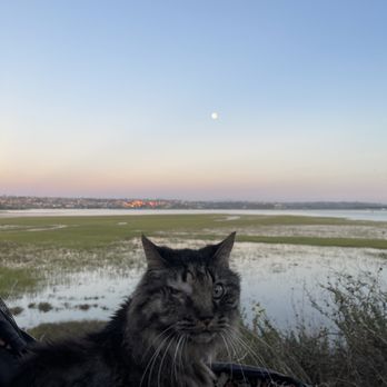 Paws Into Grace - Pet Hospice Near Me Paws Into Grace - Pet Hospice Near Me