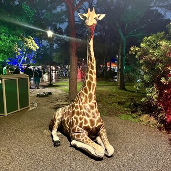Houston Zoo - Giraffe statue - Zoos Near Me - Houston, Texas Houston Zoo - Giraffe statue - Zoos Near Me - Houston, Texas