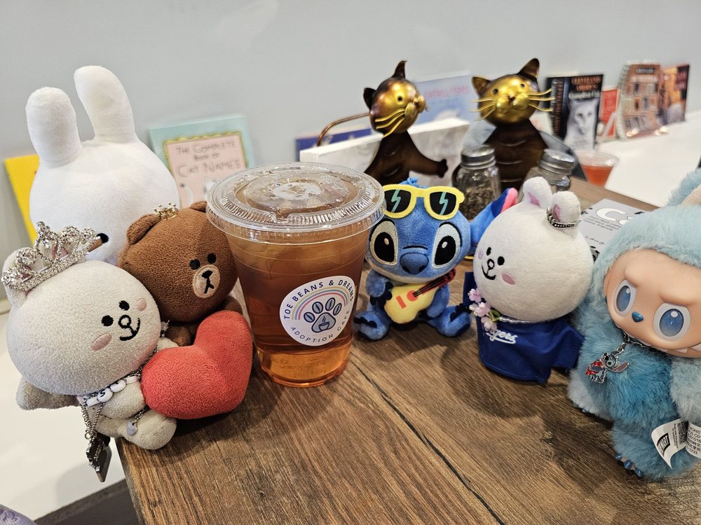 Toe Beans And Dreams Adoption Cafe