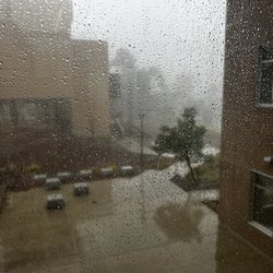 Merritt College - Rainy day at Merritt College