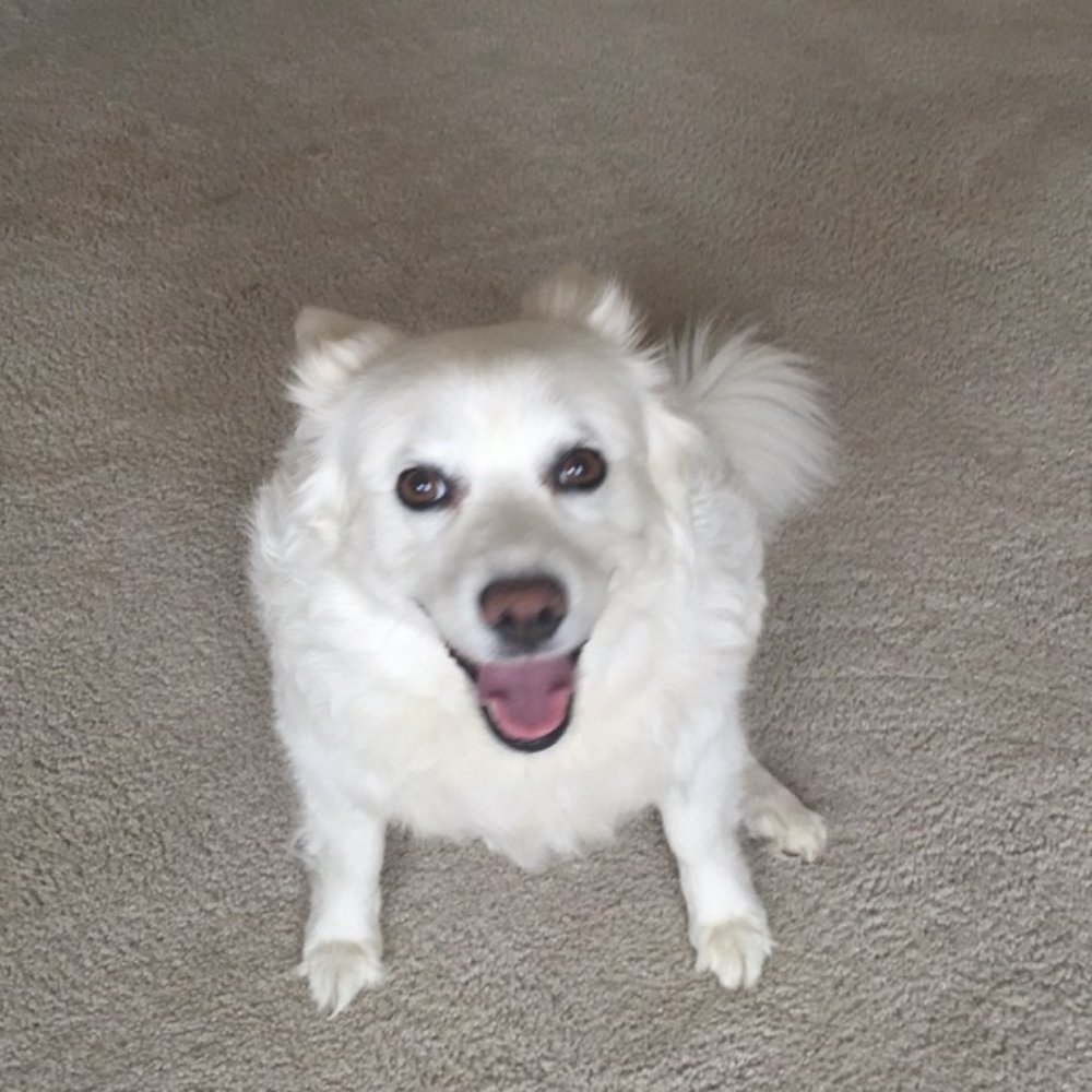 Rhylee before haircut! Rhylee before haircut!