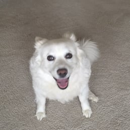 Rhylee before haircut! Rhylee before haircut!