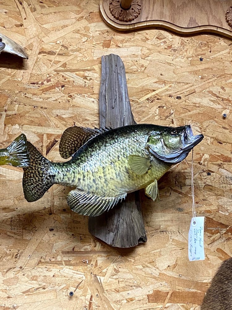 Brehm Taxidermy - taxidermy in East Troy, WI