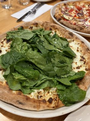 Pizzeria Paradiso Georgetown by null