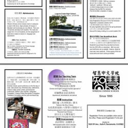 Wisdom Chinese School