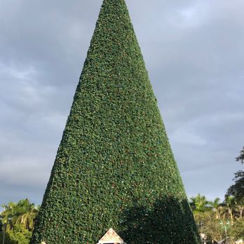 The 100 Foot Christmas Tree - Holiday Decorations Near Me - Delray Beach, Florida The 100 Foot Christmas Tree - Holiday Decorations Near Me - Delray Beach, Florida