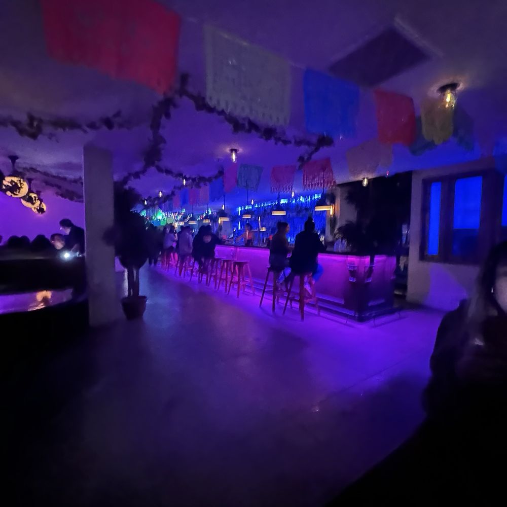 Bar Cdmx - Interior - Cocktail Bars Near Me - Los Angeles, California