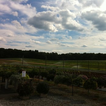 Rose’s Berry Farm - Farms Near Me - Glastonbury, Connecticut Rose’s Berry Farm - Farms Near Me - Glastonbury, Connecticut