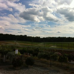 Rose’s Berry Farm