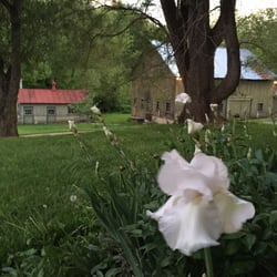 Creek Crossing Farm at Chappelle Hill B&B - View of the barn