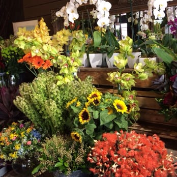 In Full Bloom - Florists Near Me - South Melbourne, VIC In Full Bloom - Florists Near Me - South Melbourne, VIC