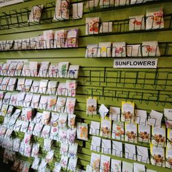Good News Gardening - Wildflowers seeds